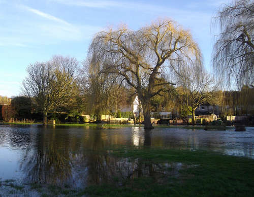 flooding at Common Meadow